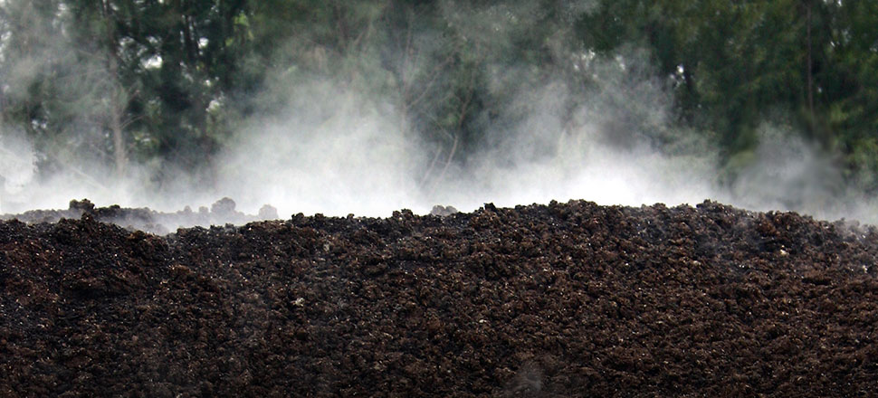 New Earth implements solutions such as: Composting